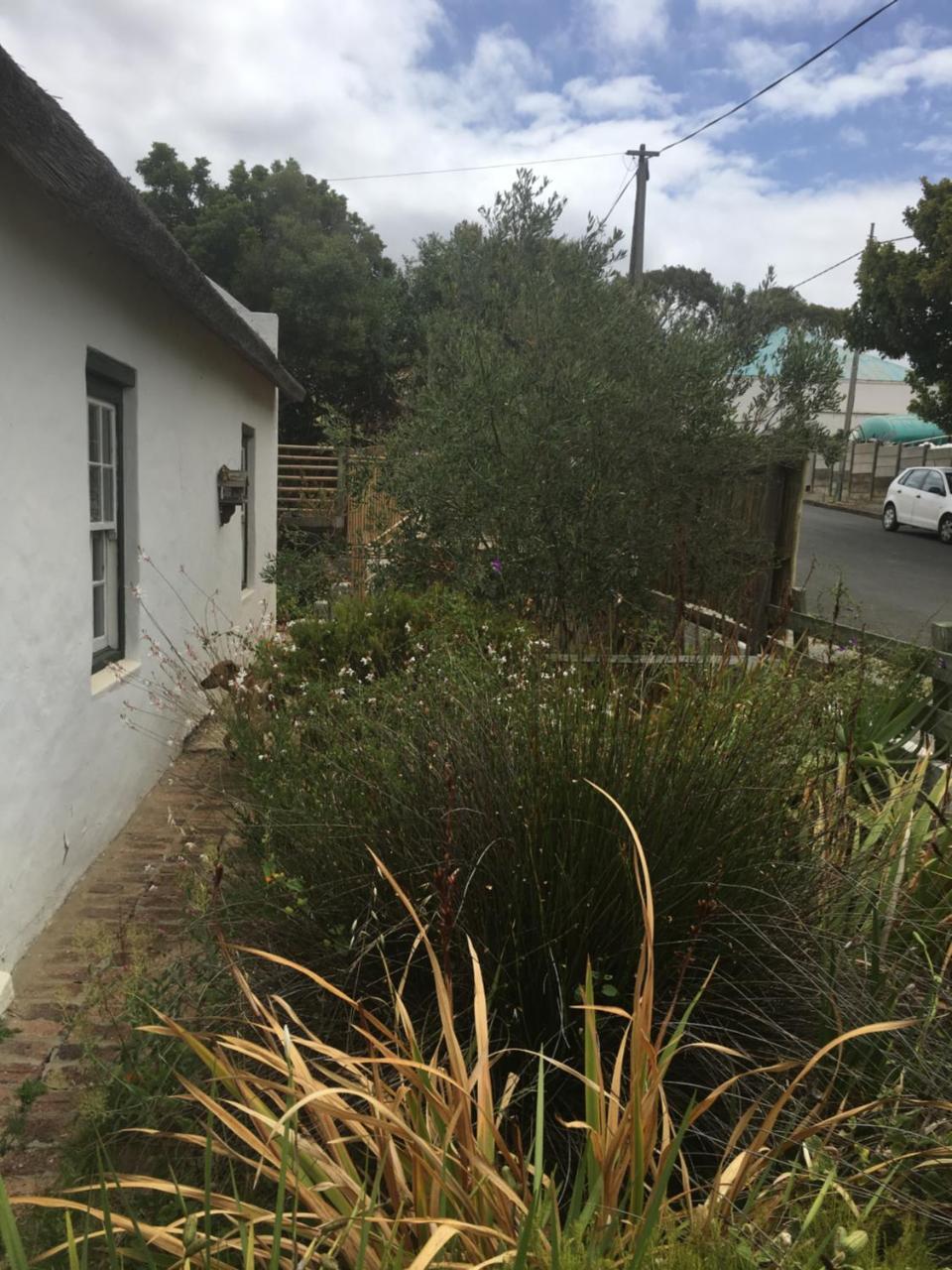 Carneddie Cottage - Main Bredasdorp Εξωτερικό φωτογραφία